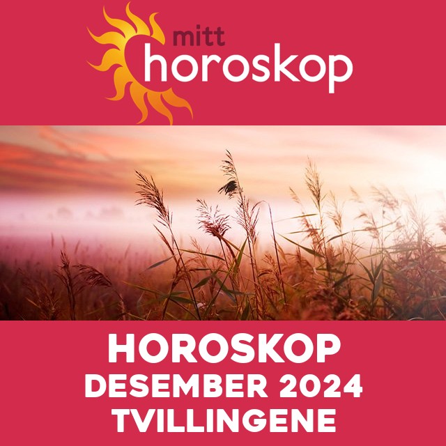 Månedens horoskop Desember 2024 for Tvillingene