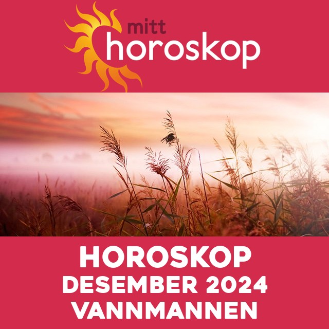 Månedens horoskop Desember 2024 for Vannmannen