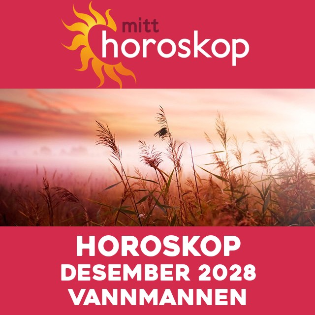 Månedens horoskop Desember 2028 for Vannmannen