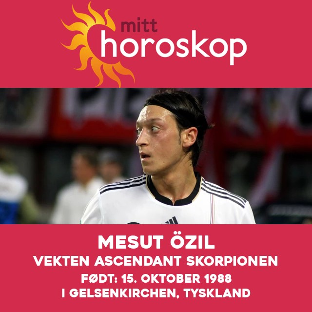 Mesut Özil: Den Vektige Midtbanespilleren