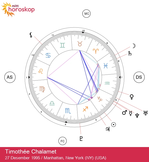 Oppdag Timothée Chalamets Steinbukk-egenskaper: Astrologiske innsikter for fans!